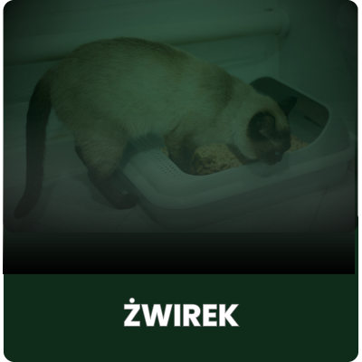 Żwirek